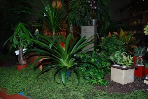 Smith's Plant Display Green Plant Display