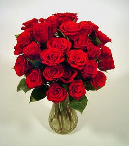 valentine_s_day_roses valentine_s_day_roses