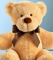 Stuffed Animal