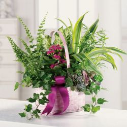 Home :: Smiths Flowers