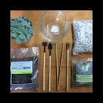 DIY Terrarium Kits